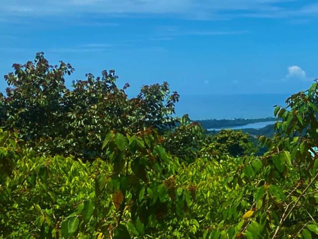 House for sale in Tres Ríos, Puntarenas