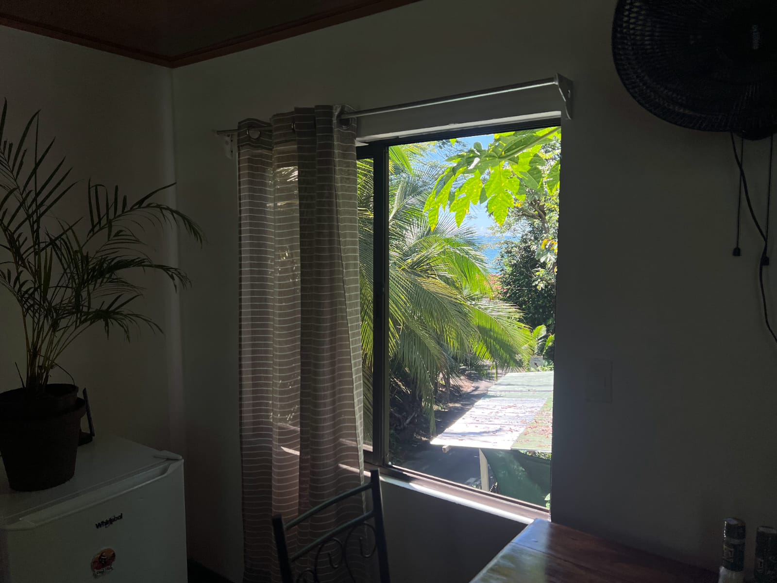 PHOTO-2025-06-18-12-21-53 (1)