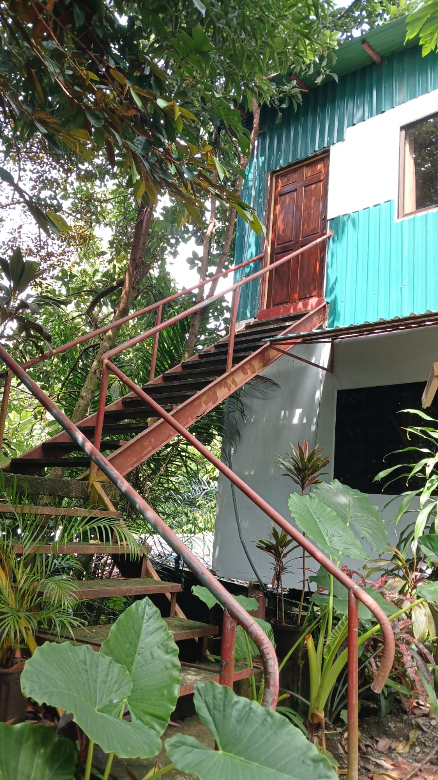 PHOTO-2025-06-18-12-21-53 (3)