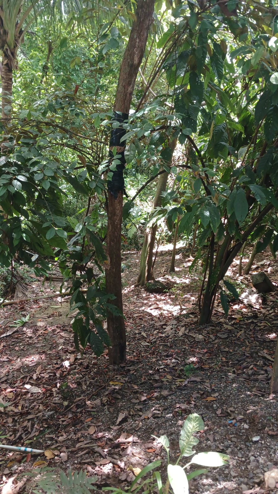 PHOTO-2025-06-18-12-21-53 (4)