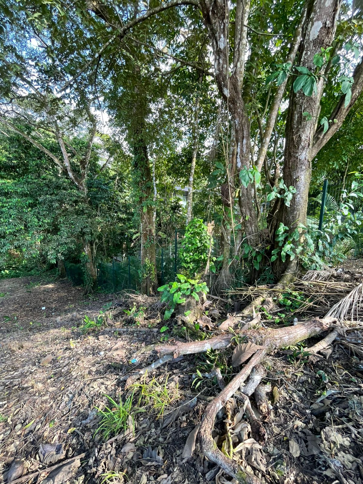 WhatsApp Image 2025-12-17 at 9.20.15 AM (1)