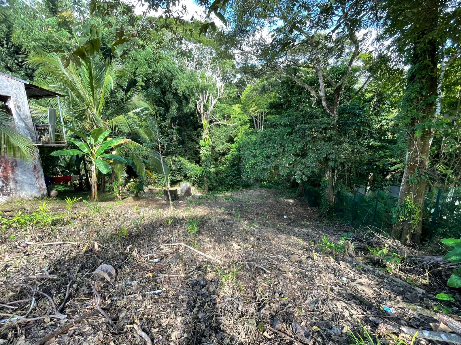 WhatsApp Image 2025-12-17 at 9.20.15 AM (2)