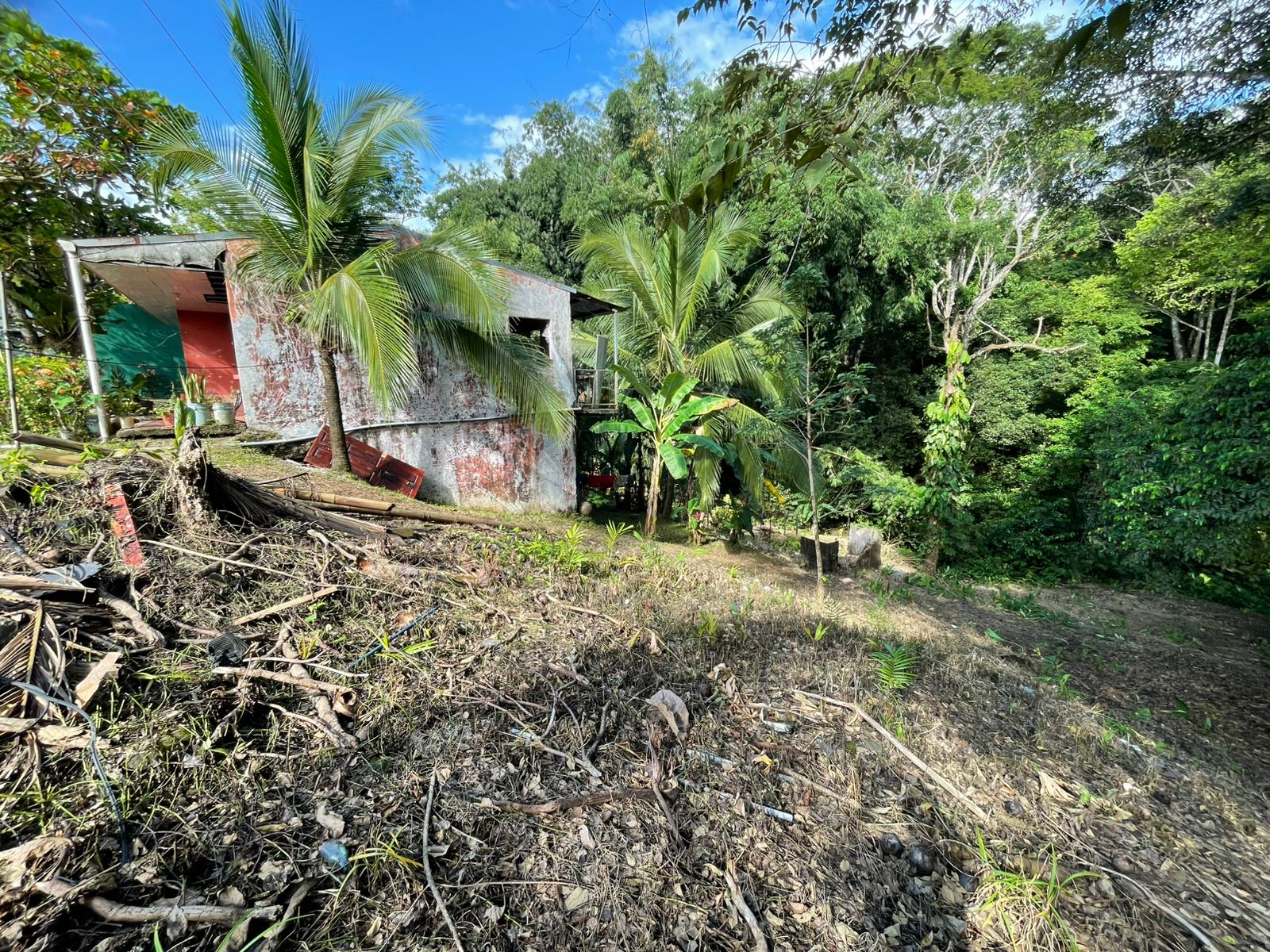 WhatsApp Image 2025-12-17 at 9.20.15 AM (3)