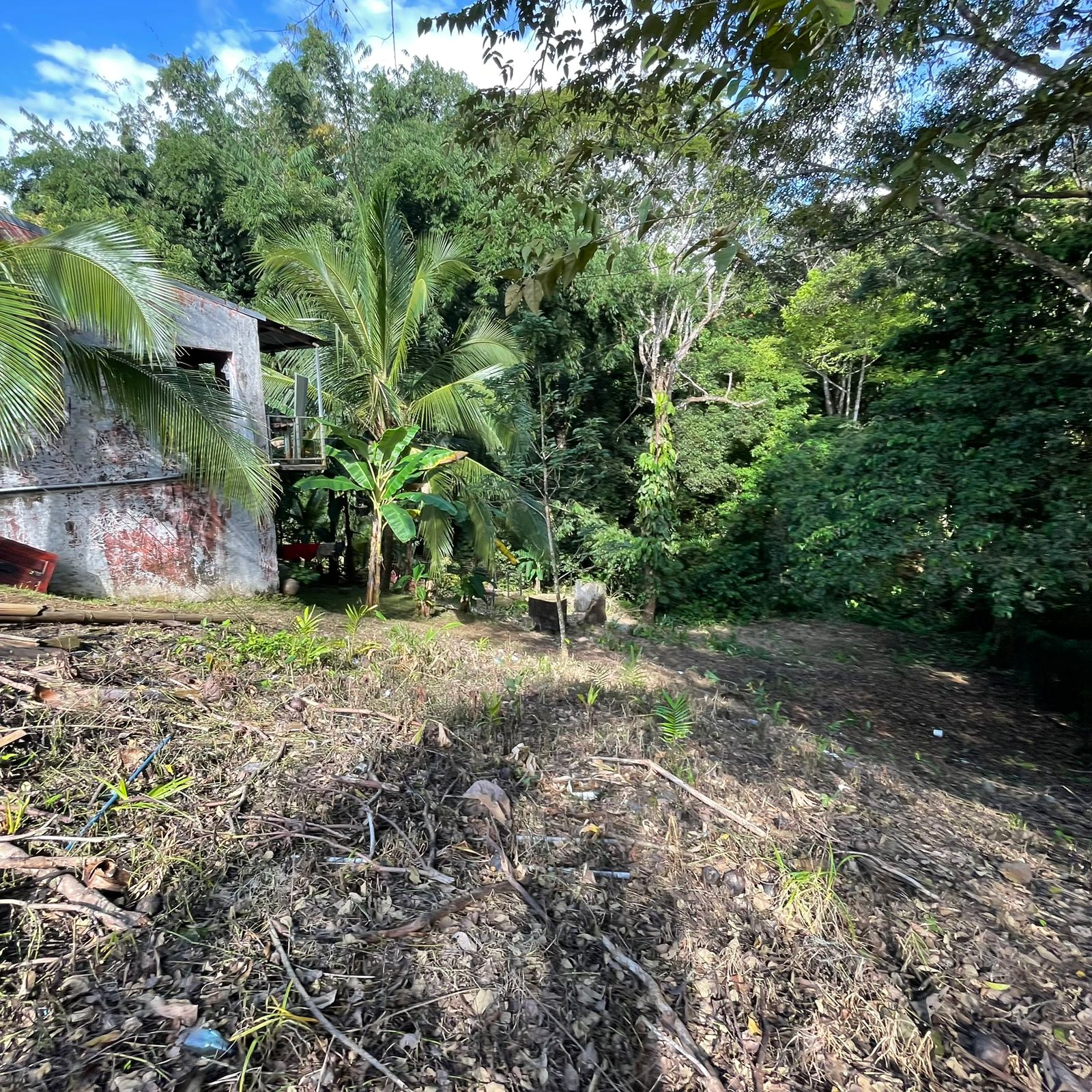 WhatsApp Image 2025-12-17 at 9.20.16 AM (1)