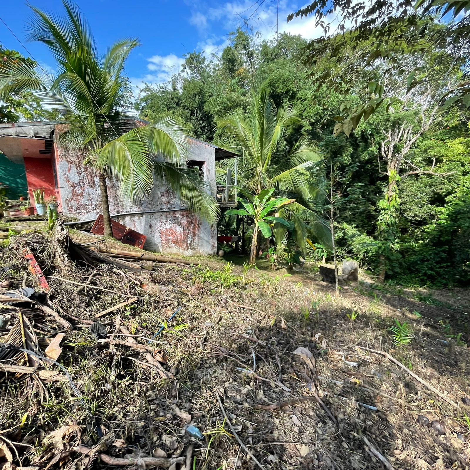 WhatsApp Image 2025-12-17 at 9.20.16 AM (2)