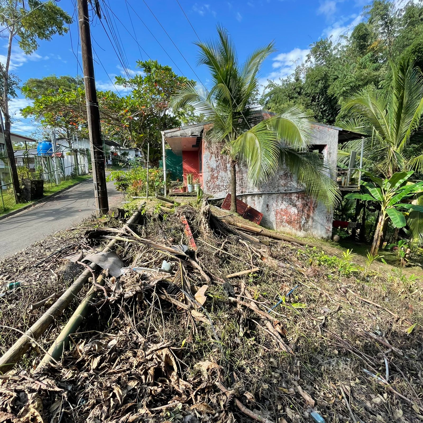 WhatsApp Image 2025-12-17 at 9.20.16 AM (3)