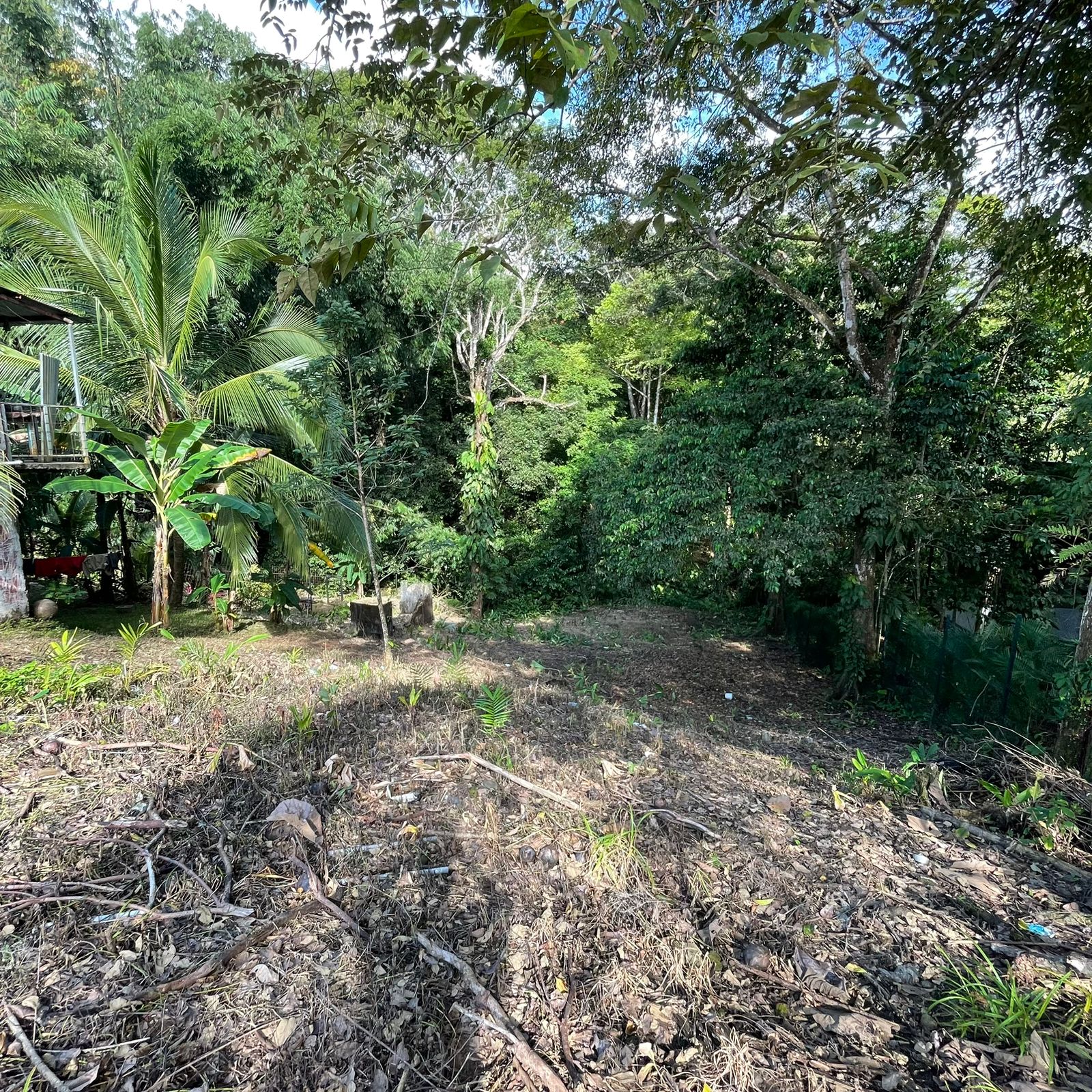 WhatsApp Image 2025-12-17 at 9.20.16 AM