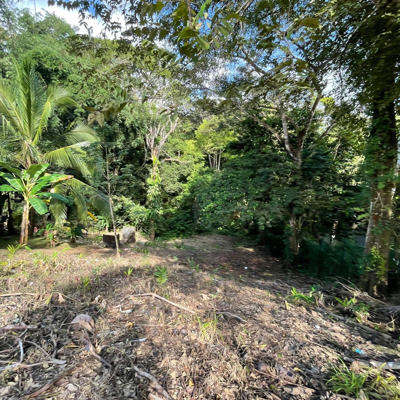 WhatsApp Image 2025-12-17 at 9.20.17 AM (1)