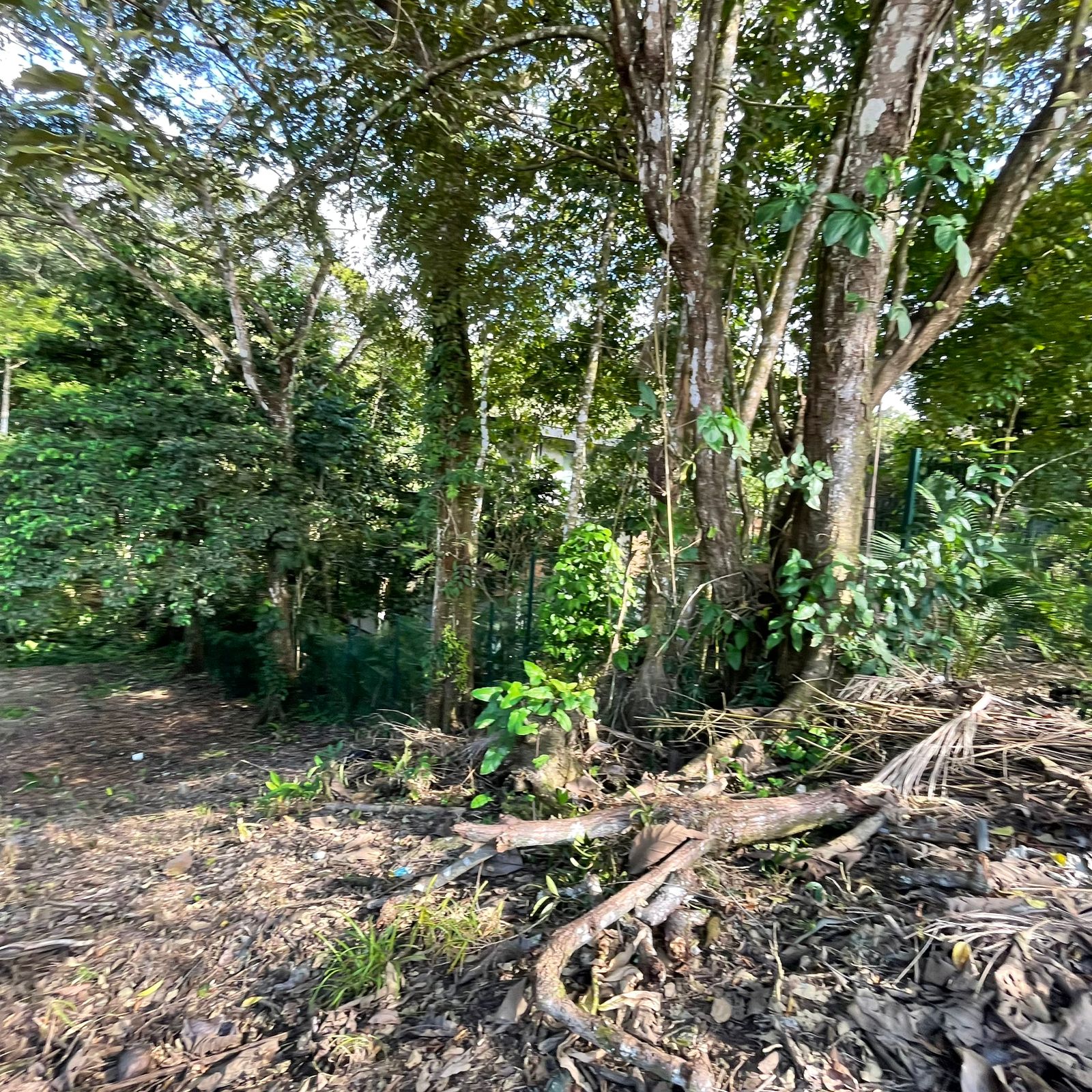 WhatsApp Image 2025-12-17 at 9.20.17 AM (2)