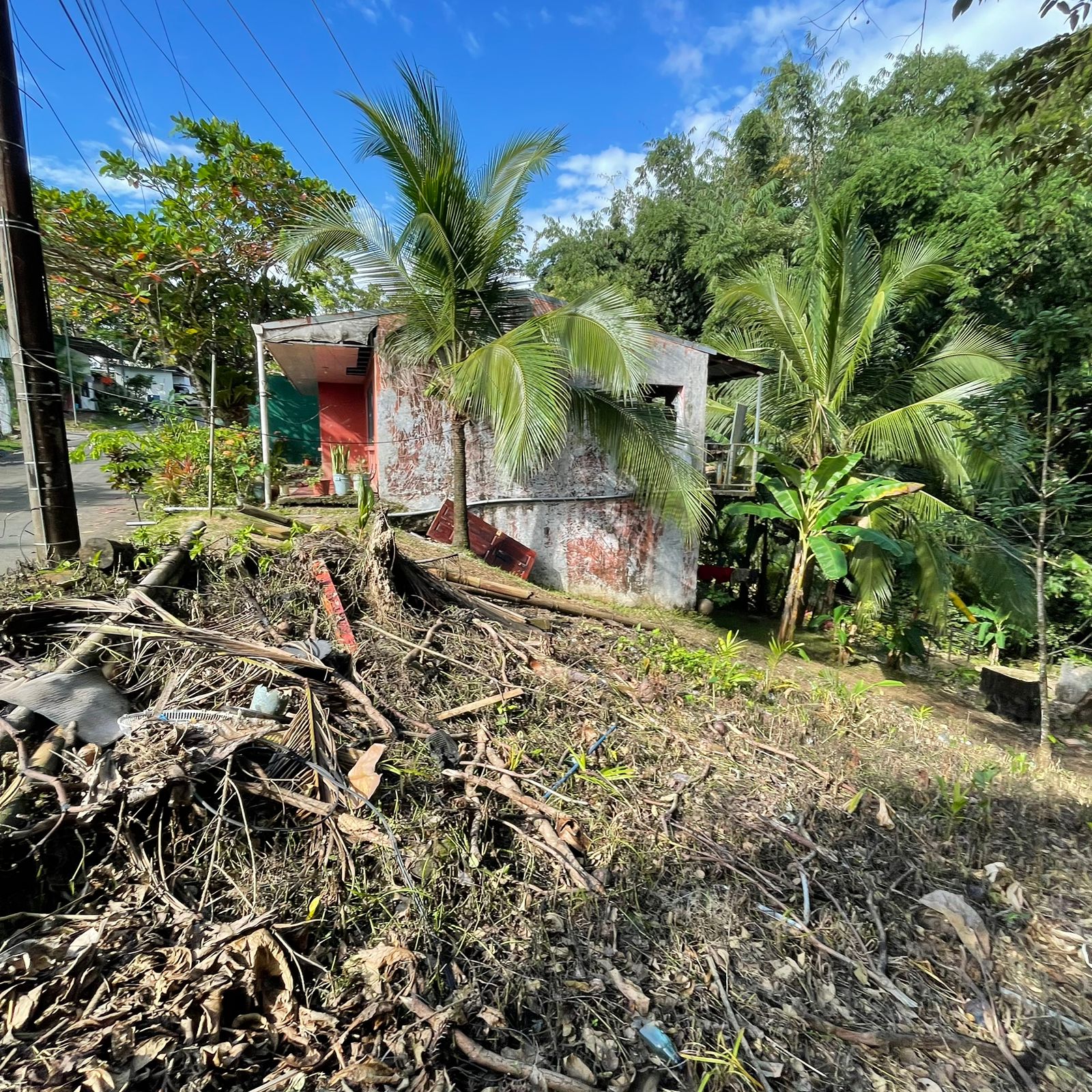 WhatsApp Image 2025-12-17 at 9.20.17 AM