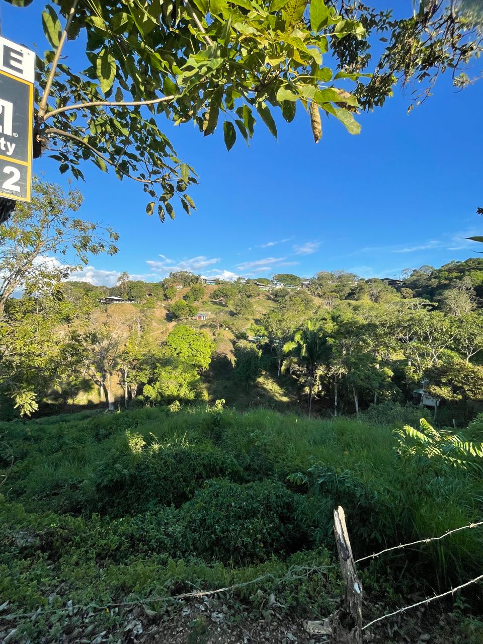 WhatsApp Image 2026-01-17 at 11.38.31 AM (1)