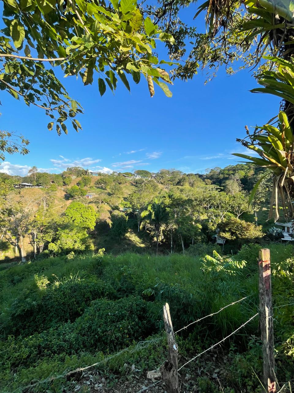 WhatsApp Image 2026-01-17 at 11.38.31 AM