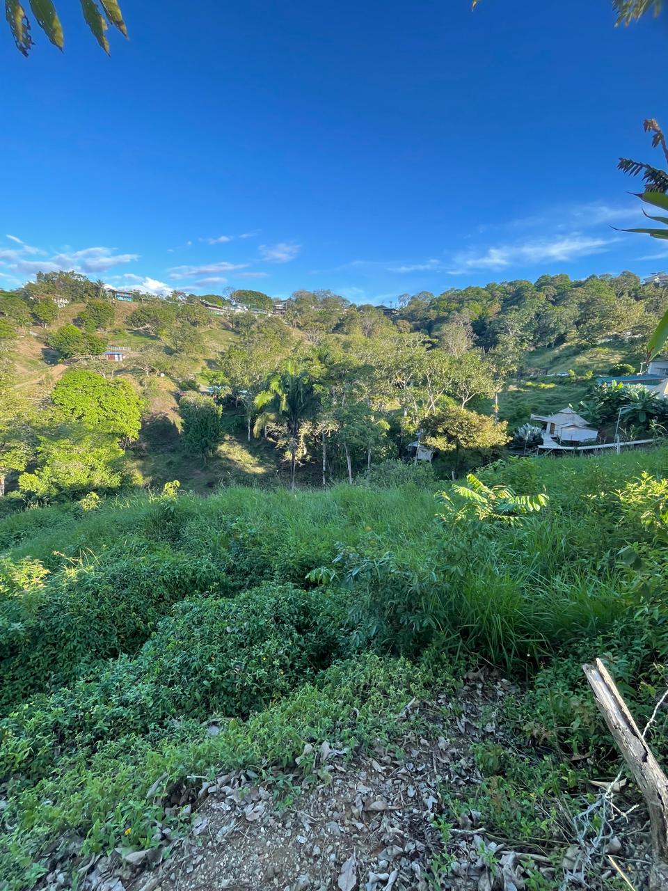 WhatsApp Image 2026-01-17 at 11.38.32 AM (1)