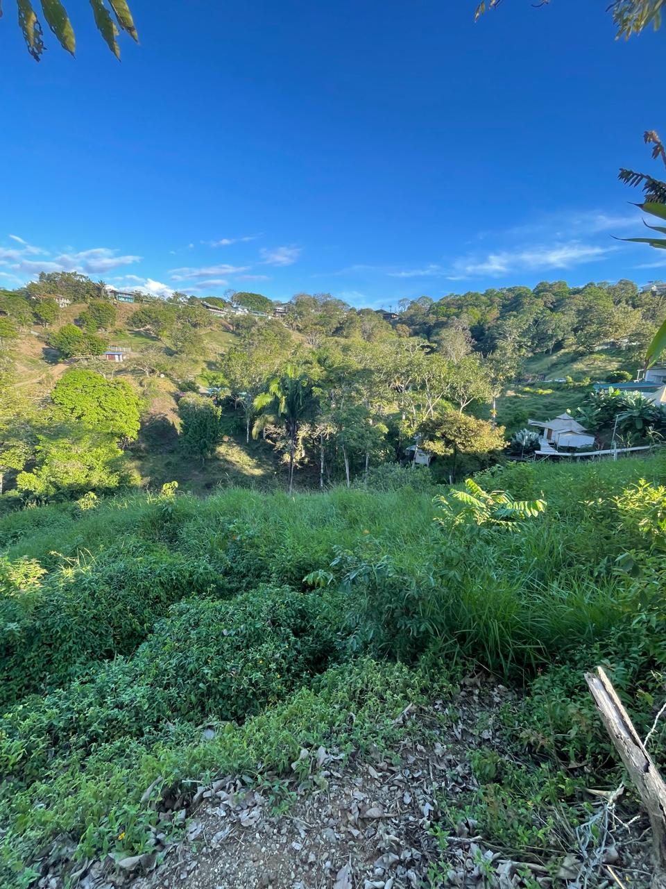 WhatsApp Image 2026-01-17 at 11.38.32 AM