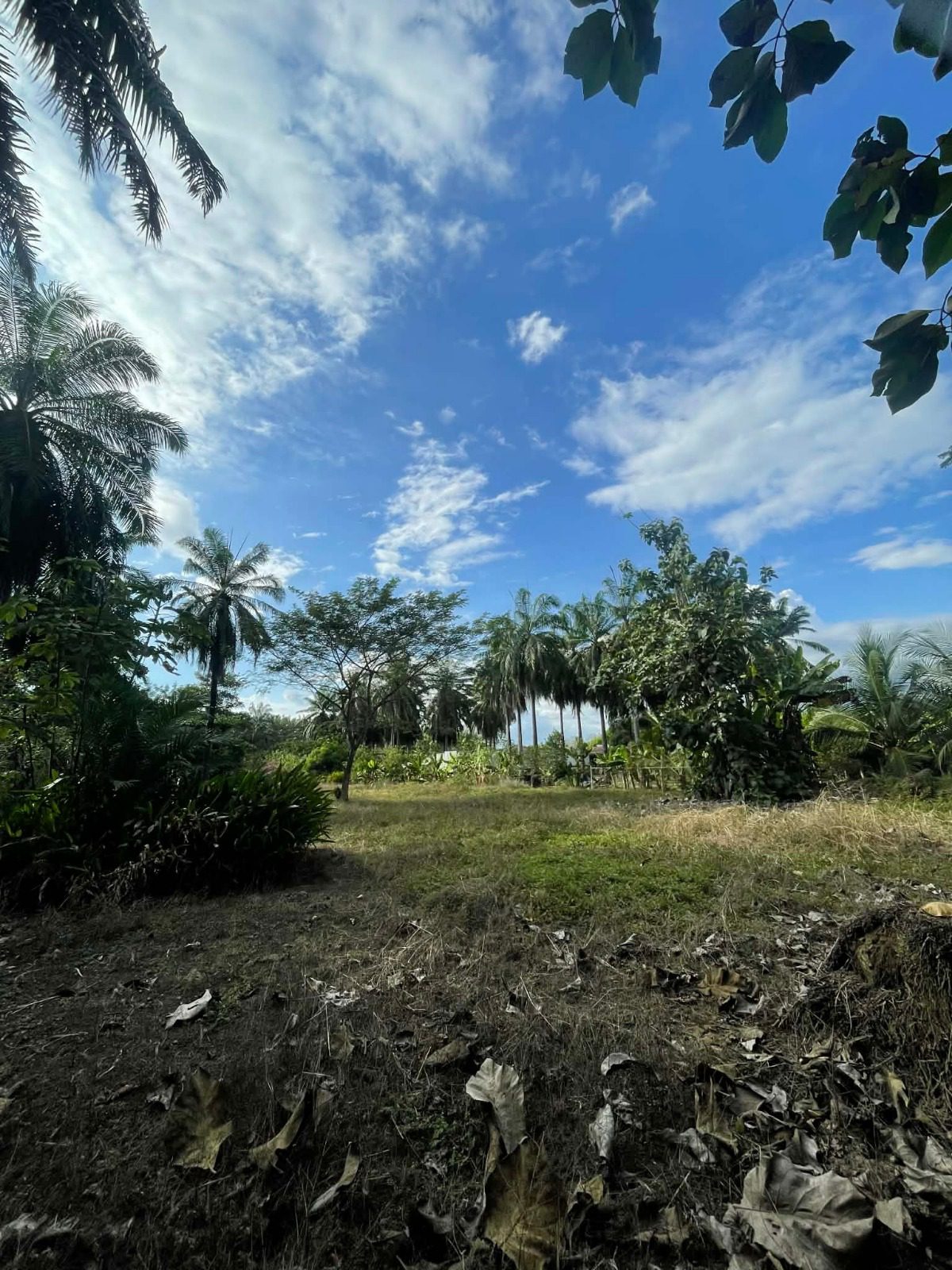 WhatsApp Image 2026-02-25 at 3.45.53 PM (1)