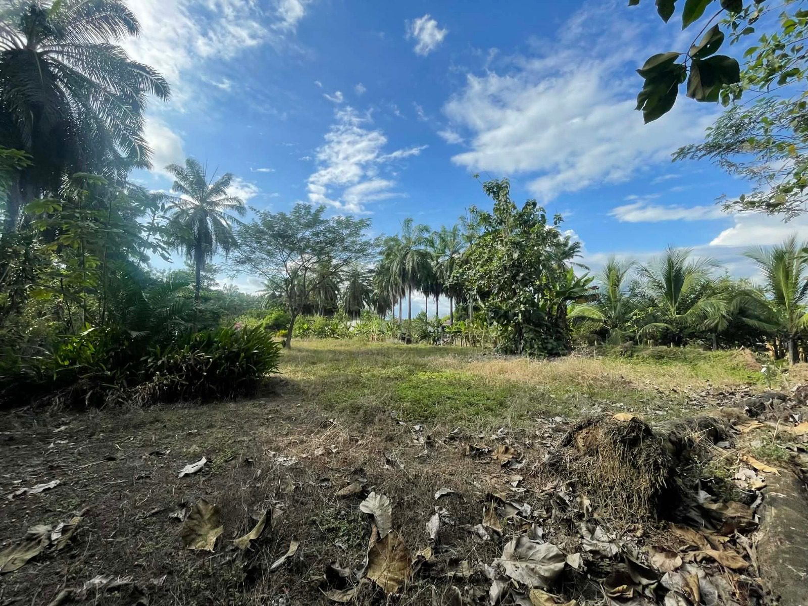 WhatsApp Image 2026-02-25 at 3.45.54 PM (1)