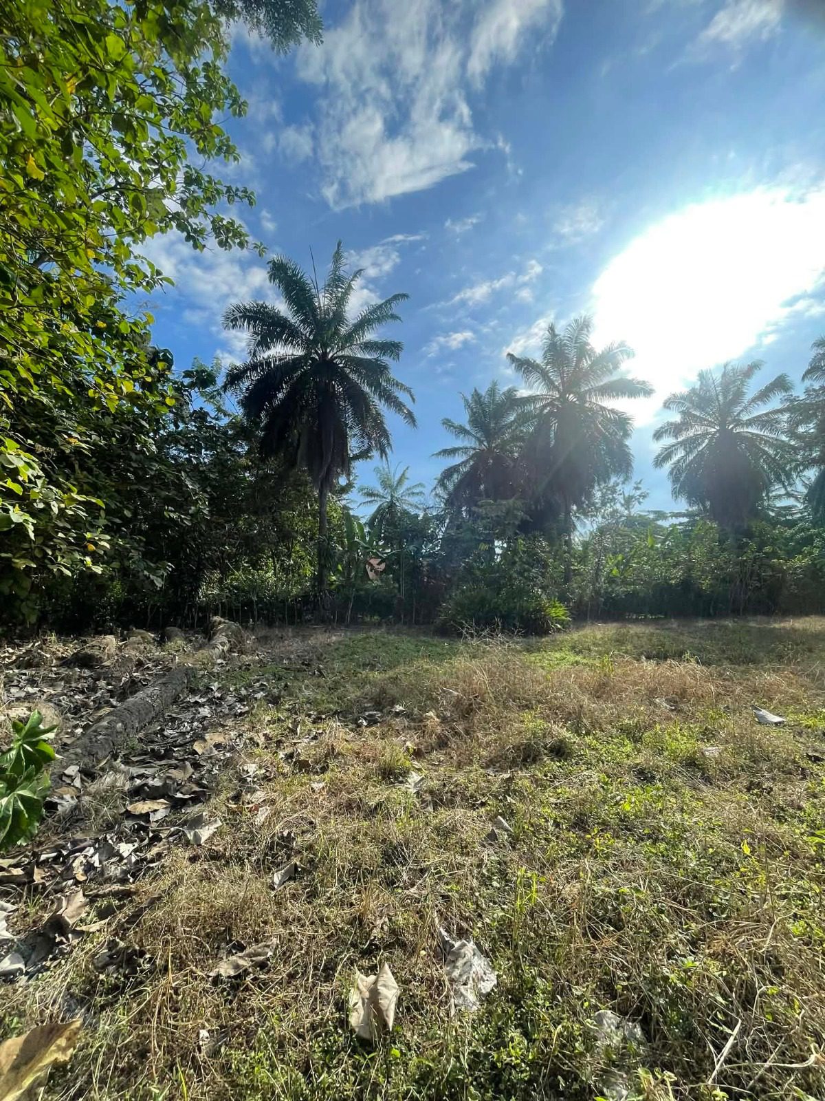 WhatsApp Image 2026-02-25 at 3.45.54 PM (2)