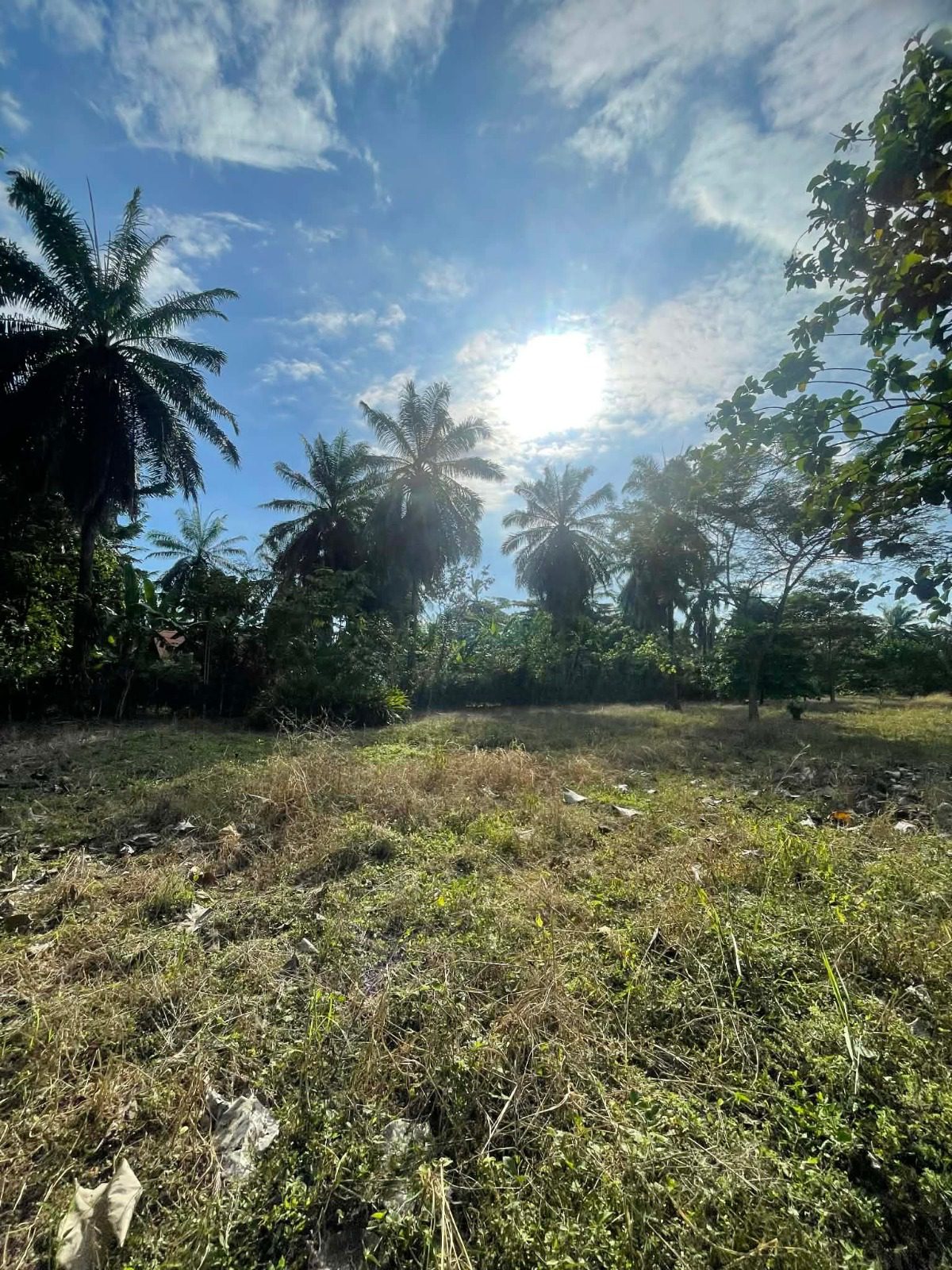 WhatsApp Image 2026-02-25 at 3.45.54 PM (3)