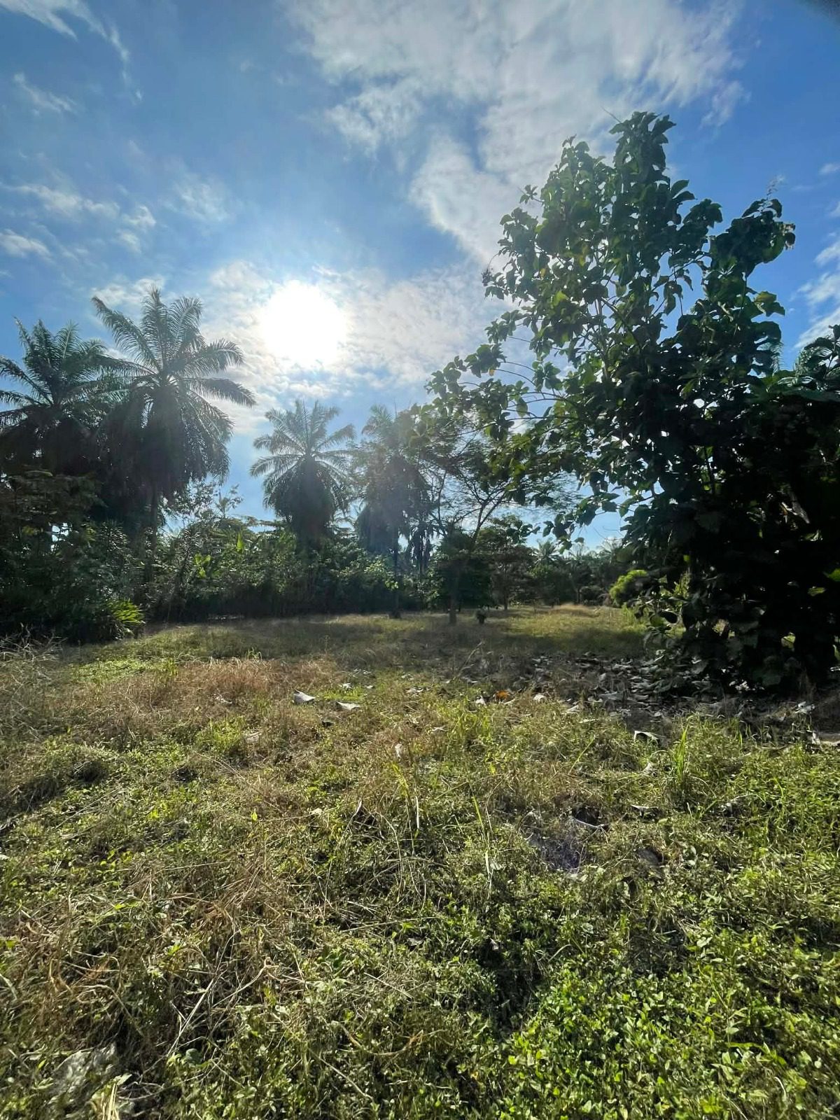 WhatsApp Image 2026-02-25 at 3.45.54 PM (4)