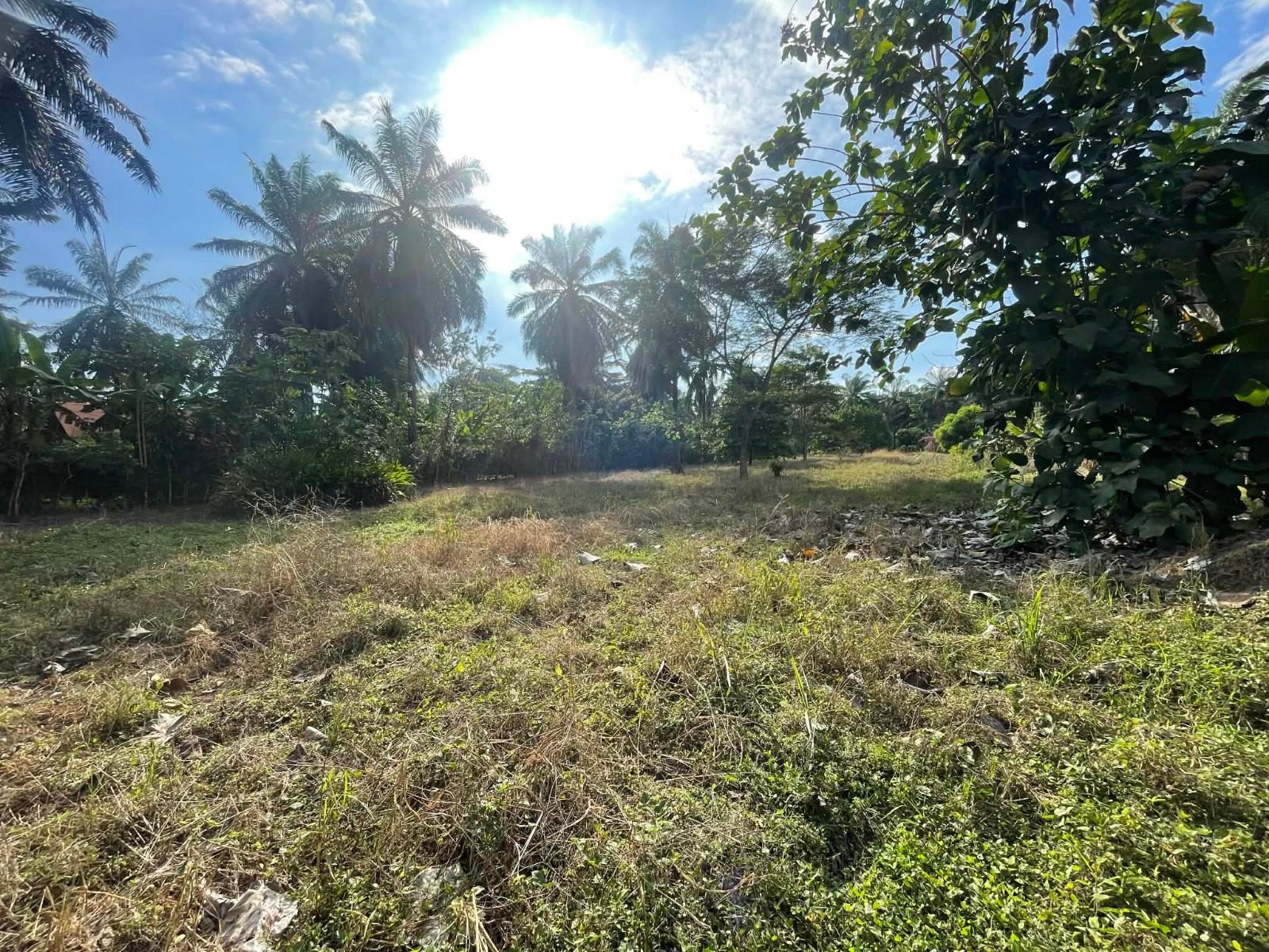 WhatsApp Image 2026-02-25 at 3.45.54 PM (5)