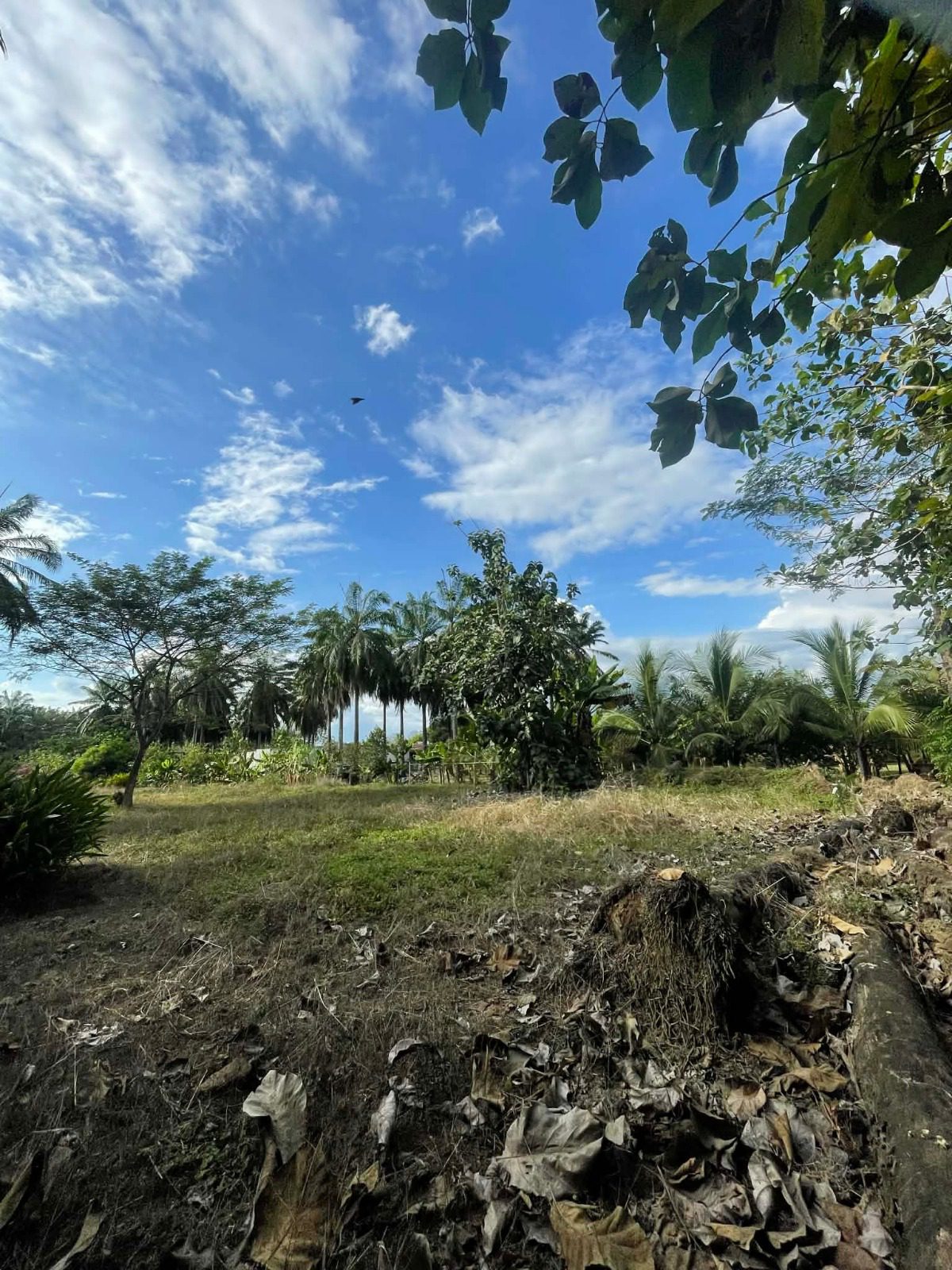 WhatsApp Image 2026-02-25 at 3.45.54 PM