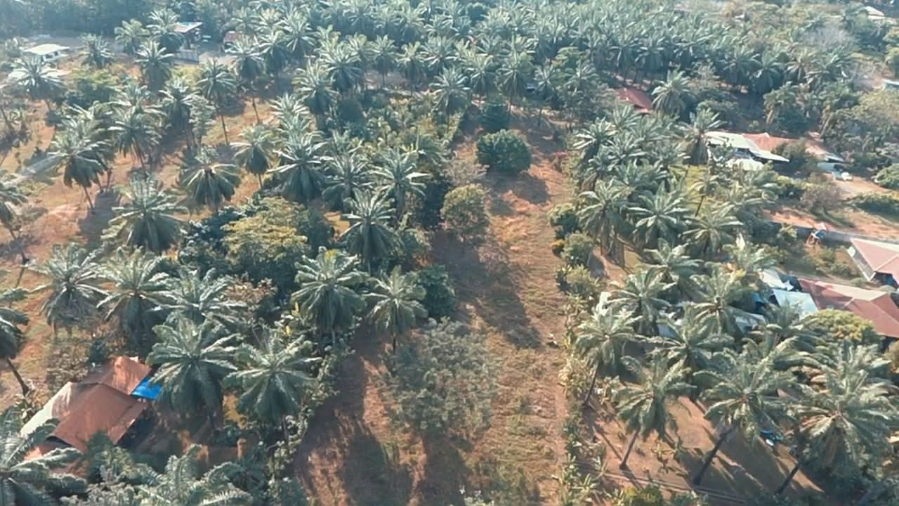 WhatsApp Image 2026-02-25 at 3.45.55 PM (3)