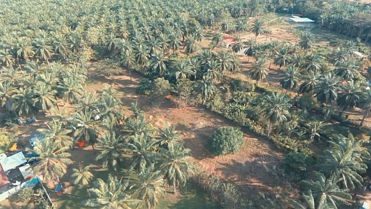 WhatsApp Image 2026-02-25 at 3.45.55 PM (4)