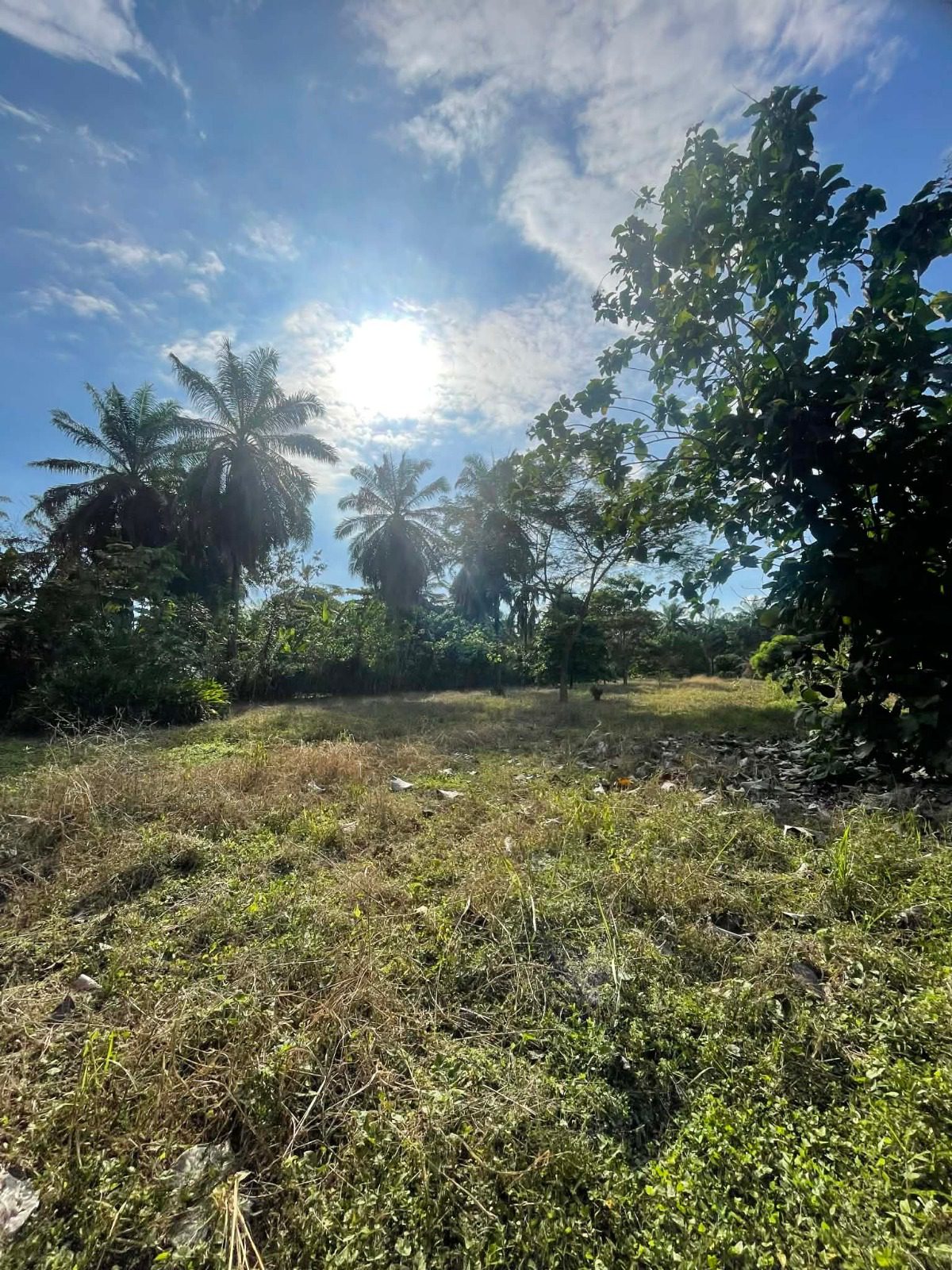 WhatsApp Image 2026-02-25 at 3.45.55 PM