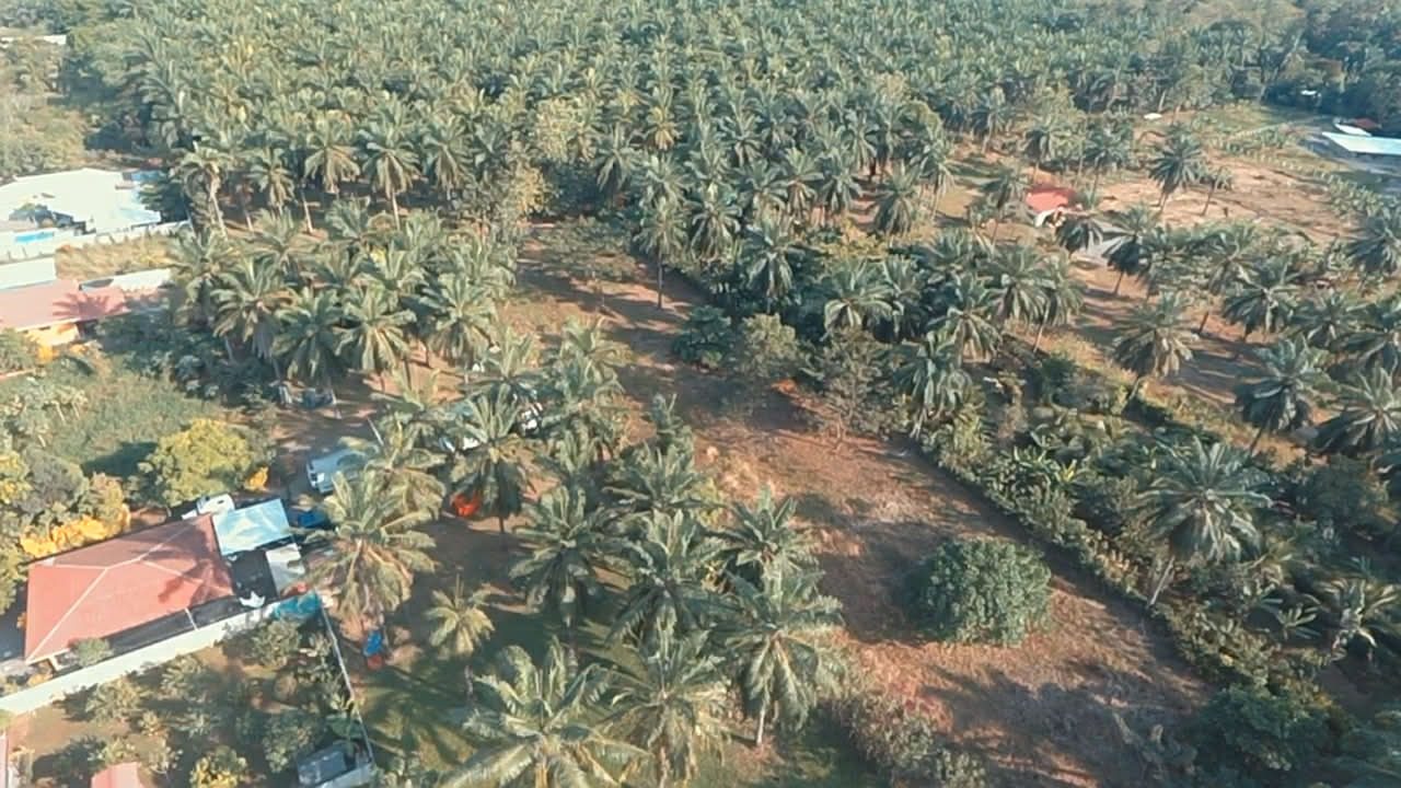 WhatsApp Image 2026-02-25 at 3.45.56 PM (1)