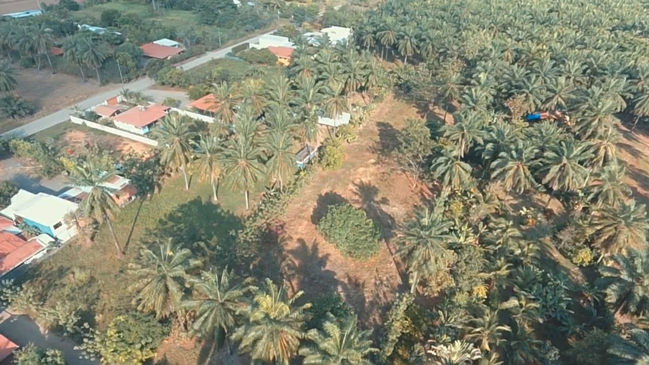 WhatsApp Image 2026-02-25 at 3.45.56 PM (2)