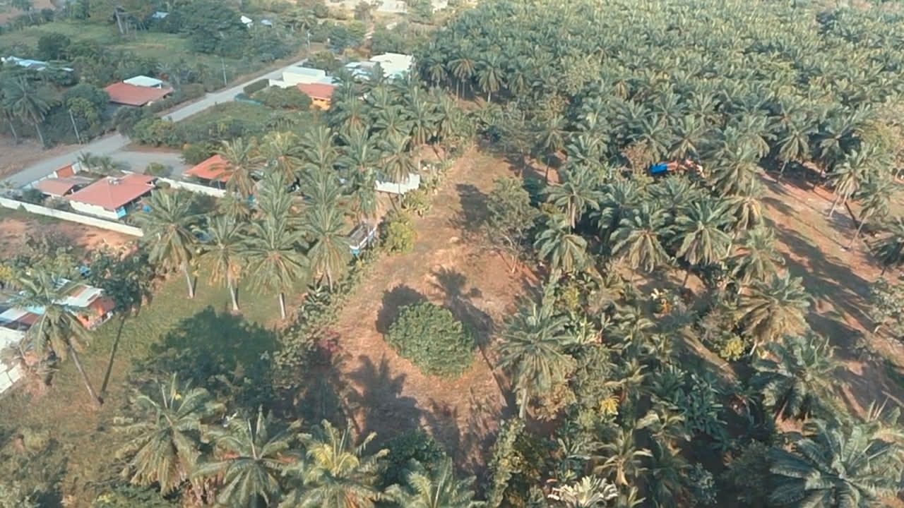 WhatsApp Image 2026-02-25 at 3.45.56 PM (3)