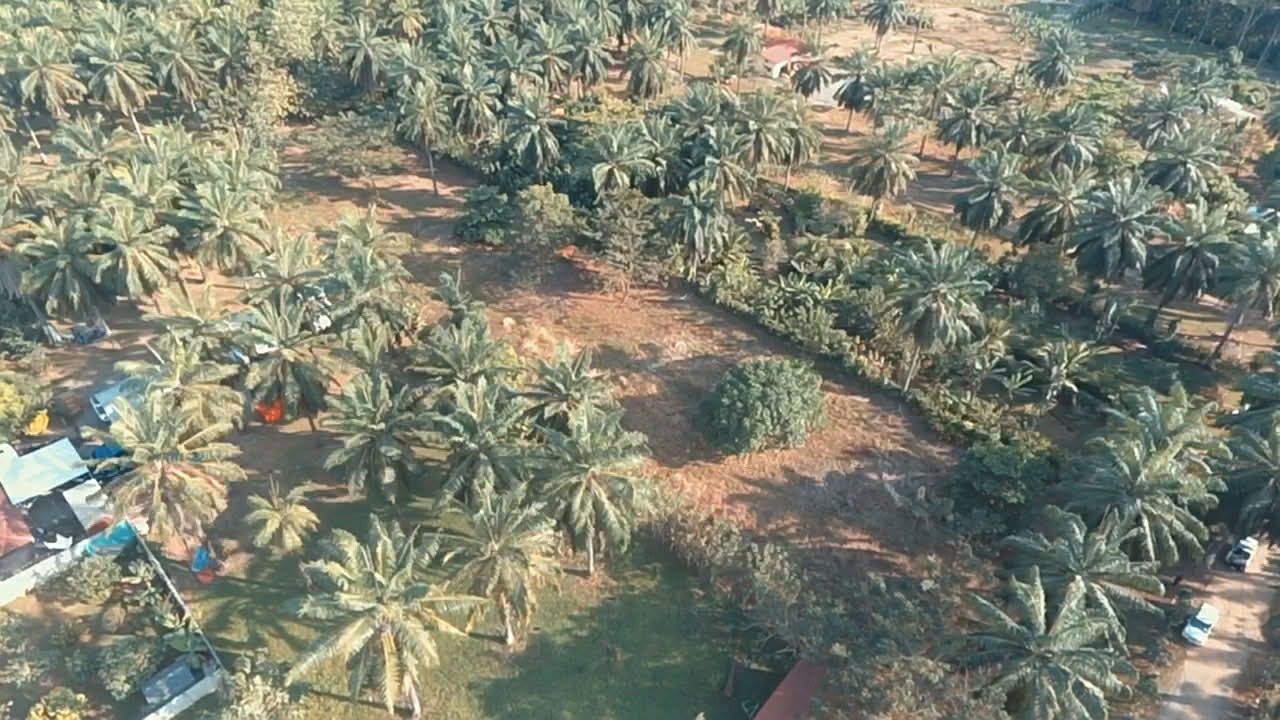 WhatsApp Image 2026-02-25 at 3.45.56 PM