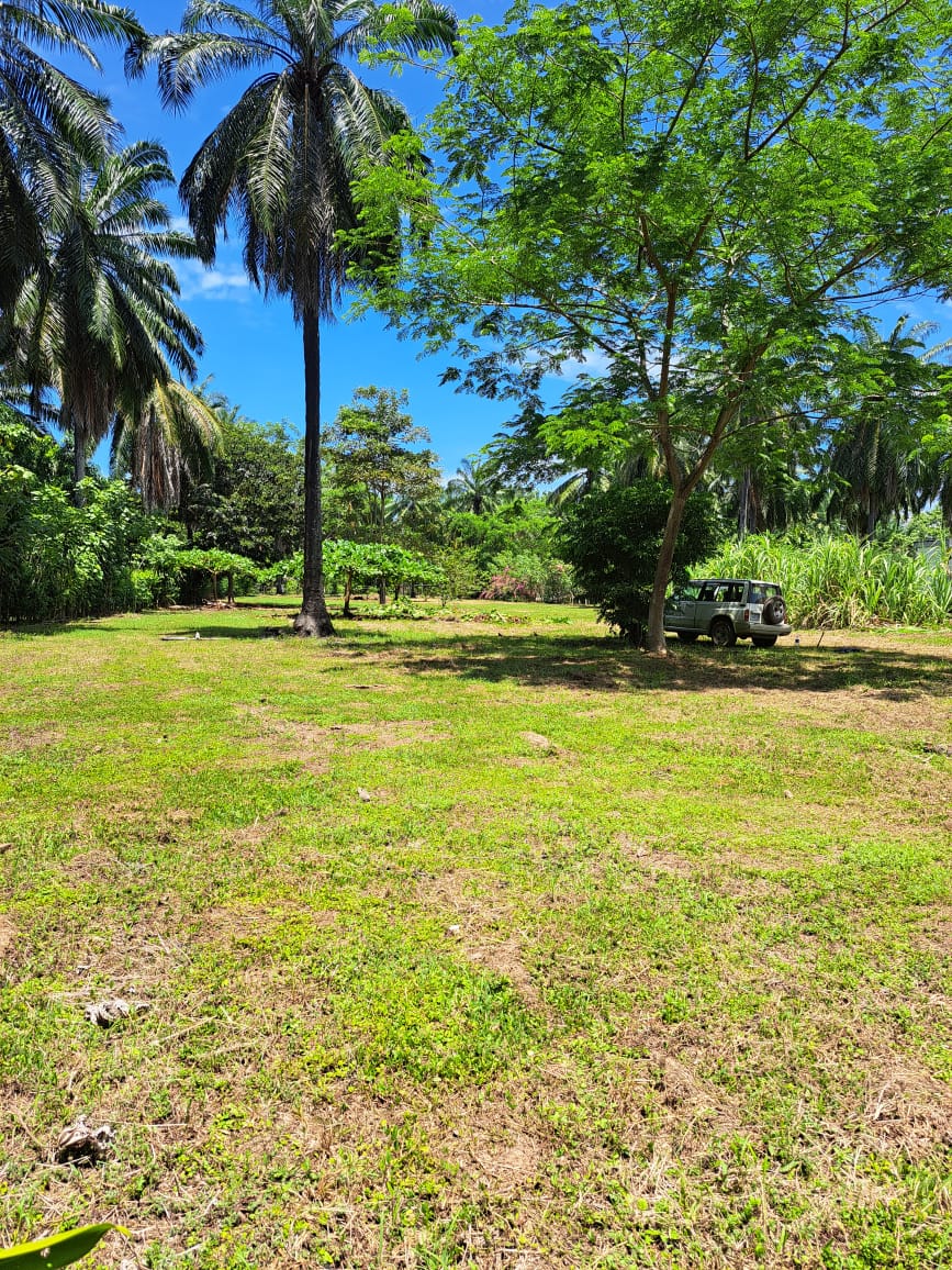 WhatsApp Image 2026-02-25 at 3.45.57 PM (1)