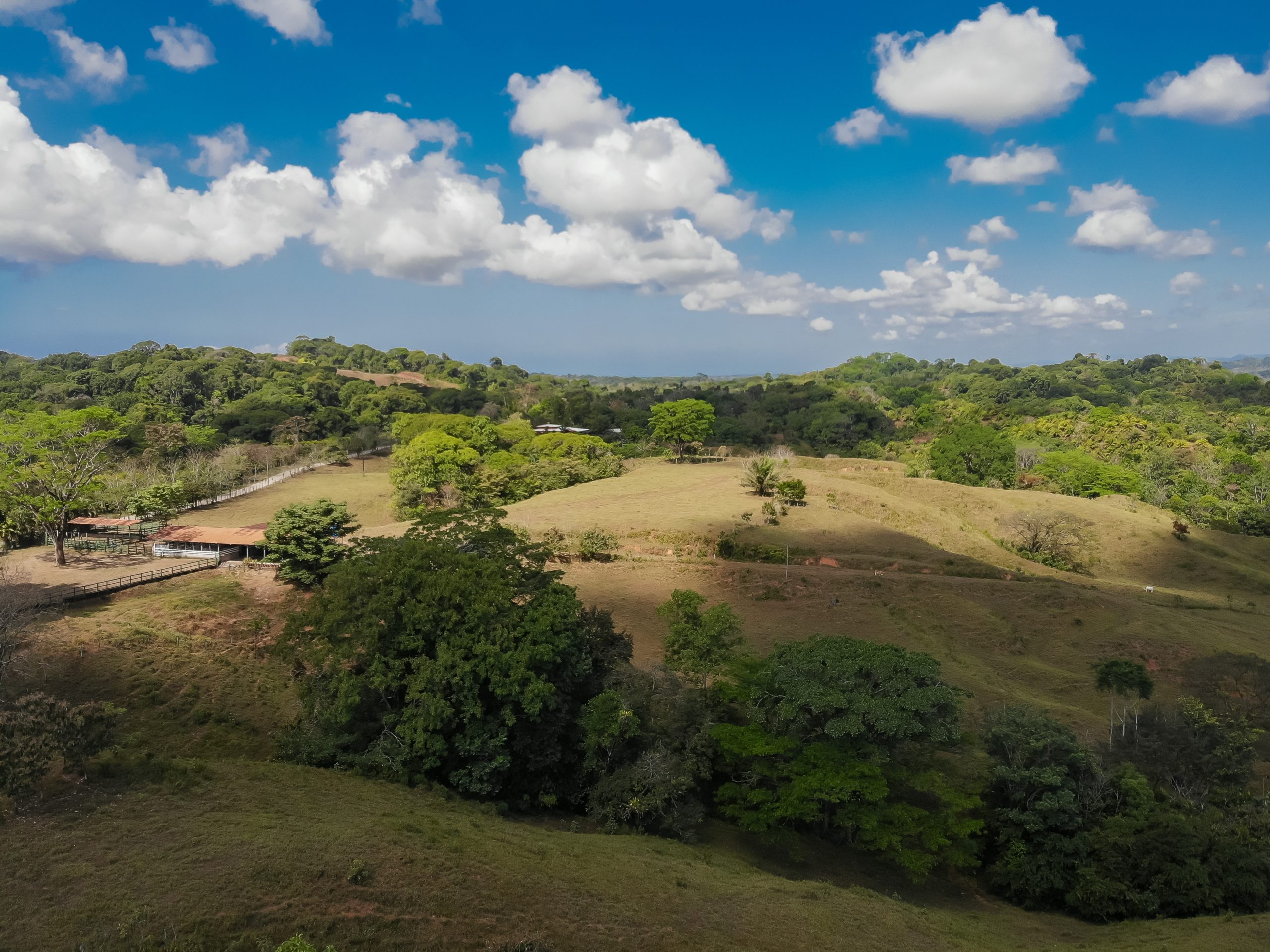 created by dji camera