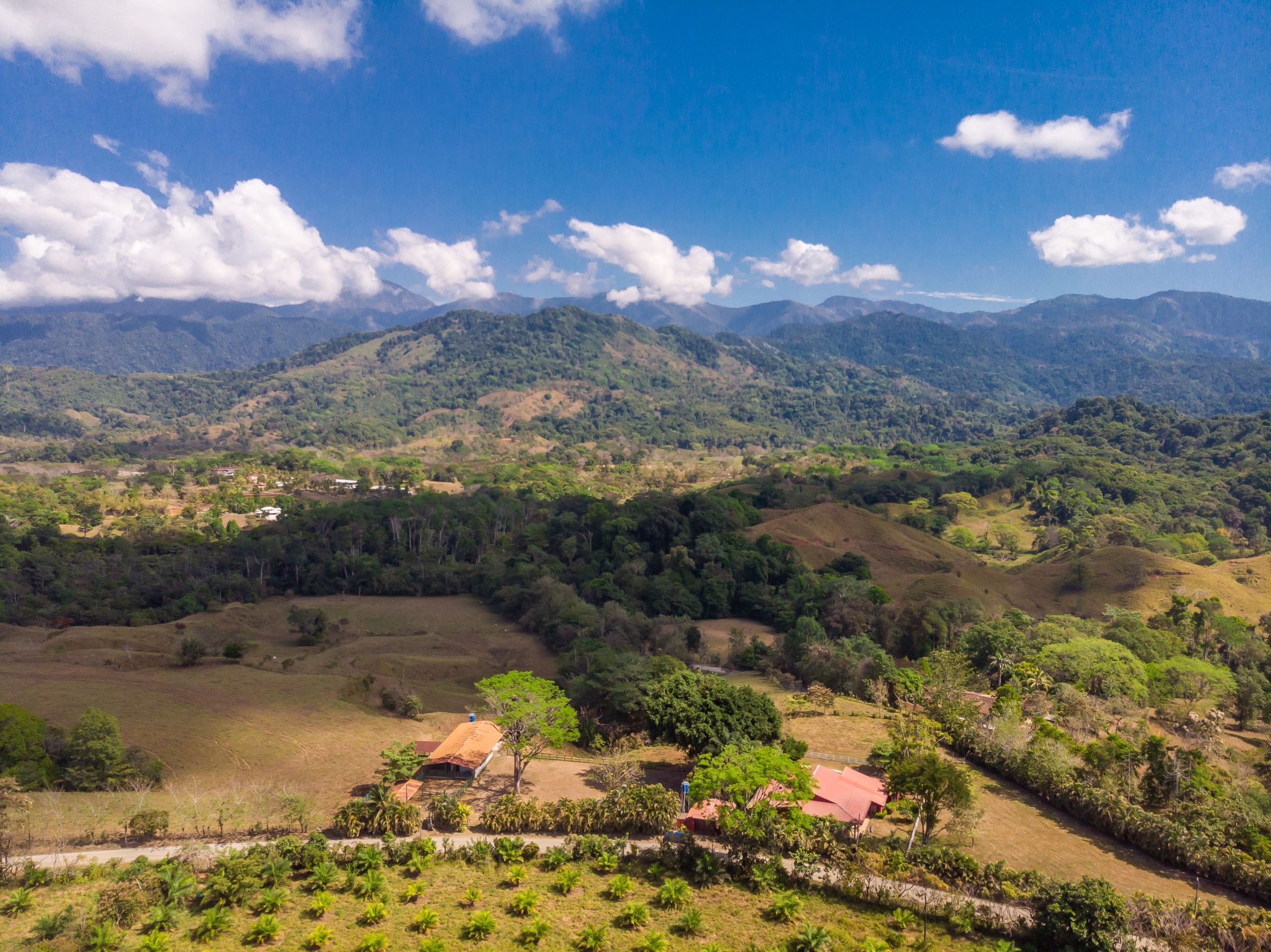 DJI_0603