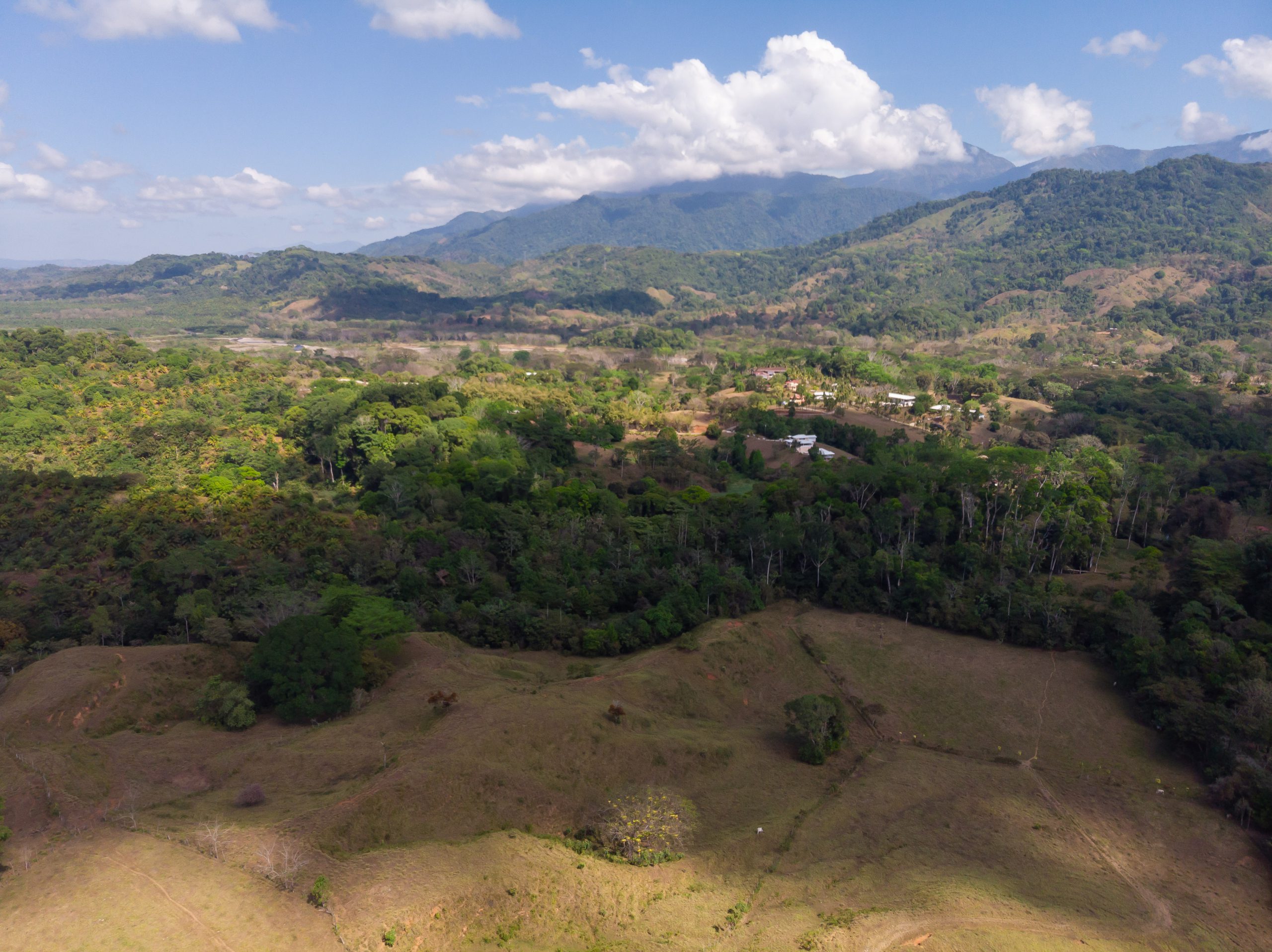 DJI_0624